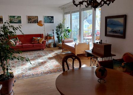 APPARTEMENT D’UNE PIÈCE À THUN (BE), MEUBLÉ, TEMPORAIRE - Foto 5