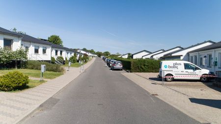 Provstejorden, Præstemarken, Klokkervangen og Degnelodden - Photo 5