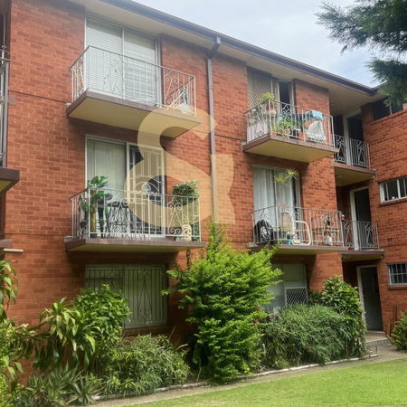 10/56 Houston Road, Kingsford NSW 2032 - Studio For Rent | Domain - Photo 3