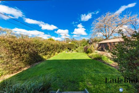 22 Buchanan Street, Narrabundah ACT 2604 - House For Rent | Domain - Photo 2