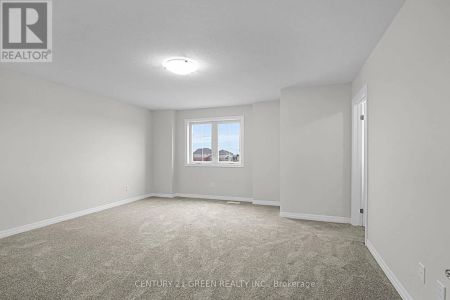 234 RENAISSANCE DRIVE - Photo 3