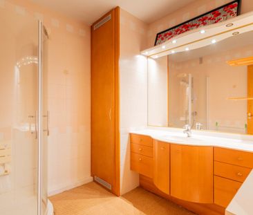 Location Appartement 2 pièces Meublé 57m² ANNECY 74000 - Photo 4