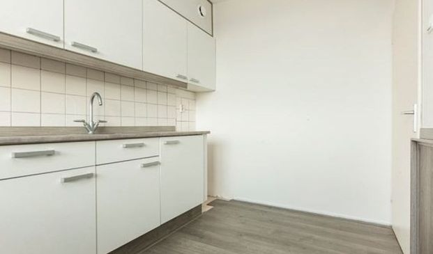 Cruquiuslaan 0ong, 2332 Leiden, Nederland - Foto 1