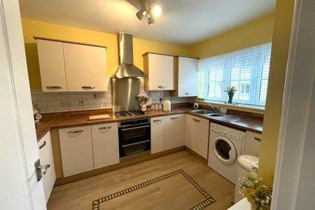 Lonydd Glas - Photo 5