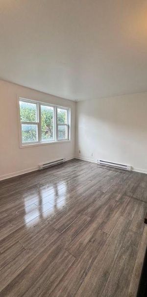 1 CH - 1 SDB - Montréal - $1,099 /mo - Photo 1