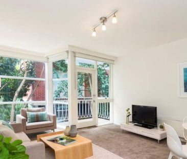 Spacious two bedroom apartment - fully Furnished - walking from Haw... - Photo 4