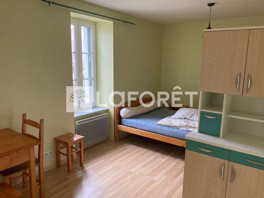Appartement T1 RIOM ES MONTAGNES à louer - Photo 1