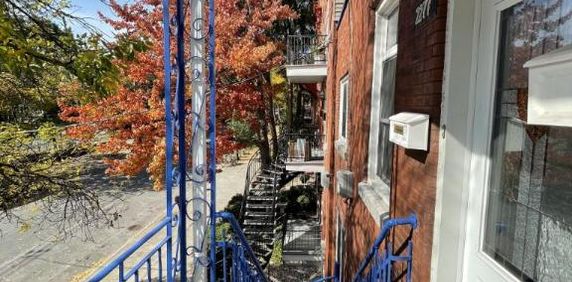 6 1/2 - Montréal (Centre-Sud) - 2 150 $/mois - Photo 2