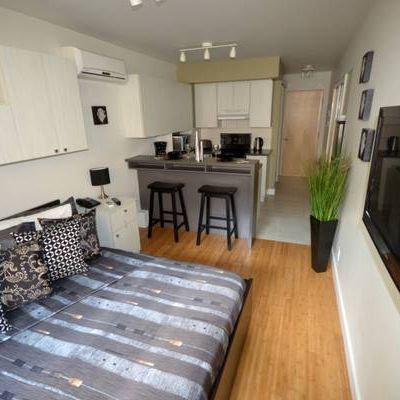 Superbe studio (1 1/2 ) meuble dans le Plateau Mont Royal - Photo 4