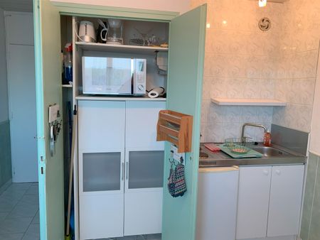 Location Appartement 1 pièce 16m² - Photo 3