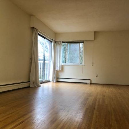 3F 1-BR Kerrisdale - Photo 1