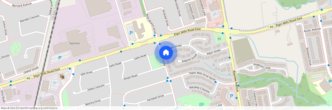 383 Neal Drive Unit# Basement, Richmond Hill