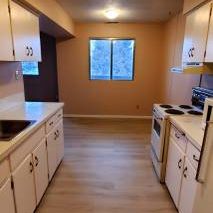 3 Bedrooms,large apartment! Amazing Location! Close to U of C! - Photo 3