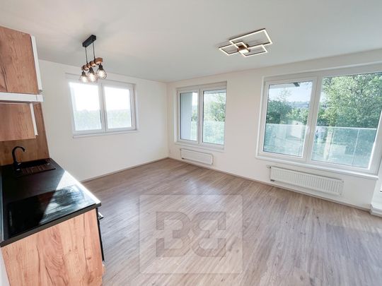 Apartment for rent, 2+kk - 1 bedroom, 56m - Photo 1
