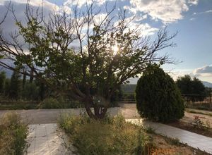 Διαμέρισμα για ενοικίαση - Ηράκλειο Κρήτης, - Φωτογραφία 4