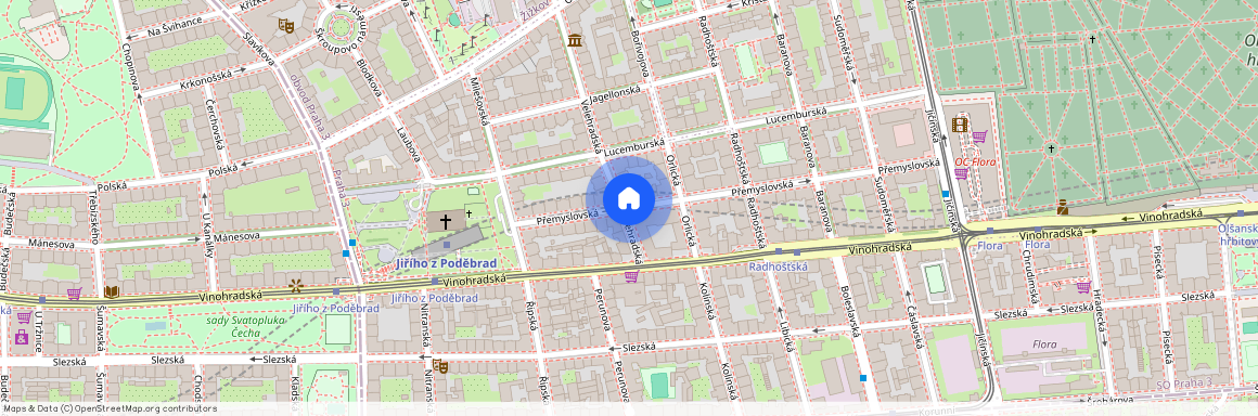 Vinohrady, Přemyslovská, Praha