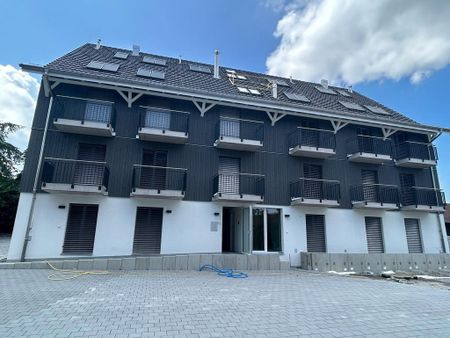 1 Zimmer, 20 m² - Photo 4