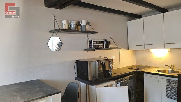 Location Appartement 1 pièce 18m² FONTAINEBLEAU 77300 - Photo 1