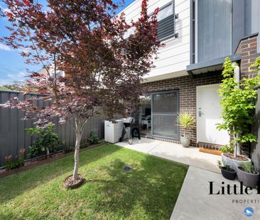 91 Bettong Avenue, Throsby ACT 2914 - House For Rent | Domain - Photo 6