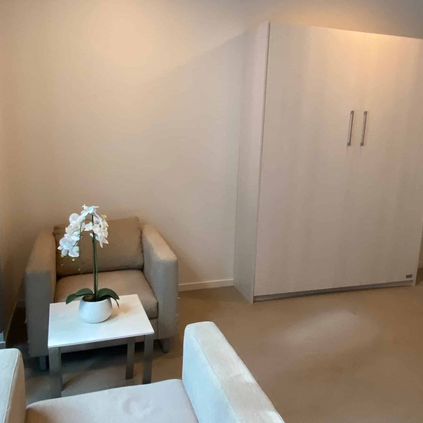 Executive Fully Furnished Studio on Swanson, CBD - Photo 1