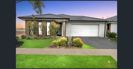 Modern East Facing 4 Bedroom Family Home in Woodlea! - Photo 5