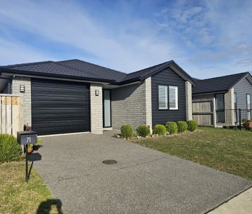 Home On Hills View - Papamoa - Photo 3