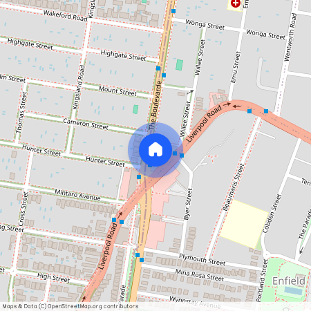 198 The Boulevarde, NSW 2135, Strathfield