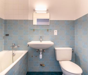 Location Appartement 1 pièce 35m² ANNECY 74000 - Photo 3