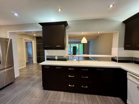 For Lease - 30 Ivordale Crescent Unit# Main, Toronto, Ontario - Photo 5