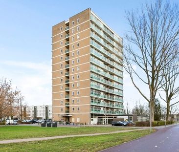 Klaverlaan 0ong, 6841 Arnhem, Nederland - Foto 1