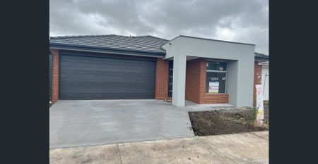 Modern Four Bedroom Home with Outdoor Alfresco Entertaining Area - Photo 3