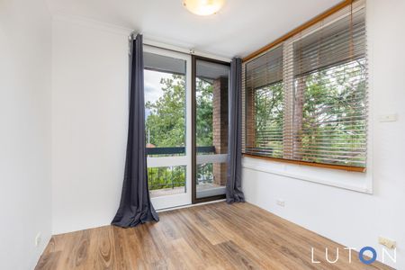 11C/6 Irvine Street, Watson ACT 2602 - Apartment For Rent | Domain - Photo 4