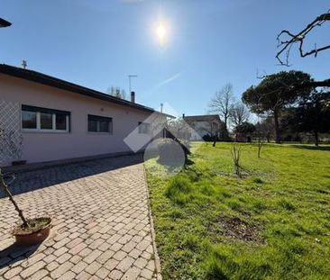 Trilocale in affitto - Photo 3