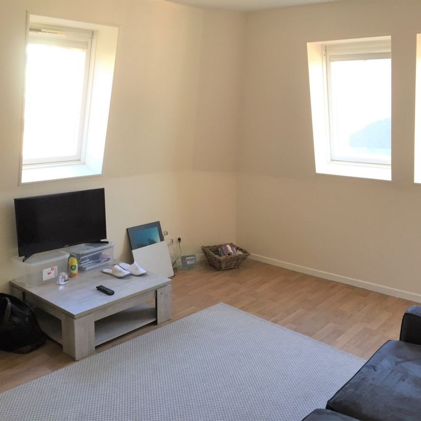 Location Appartement 1 pièce 26m² LILLE 59800 - Photo 1