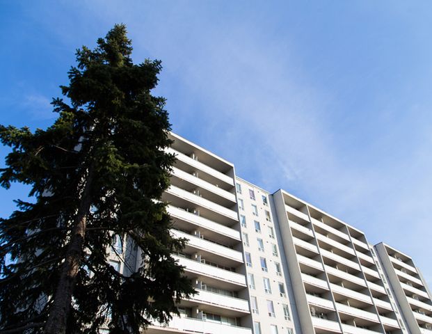 Apartment for rent at 11 Antrim Crescent | 11 Antrim Crescent, Scarborough - Photo 1