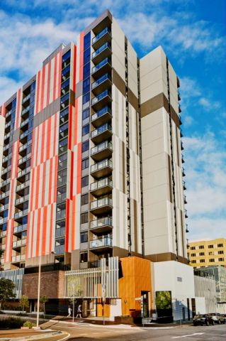 1 Bed 1 Bath with study-L9-L17 - Photo 5