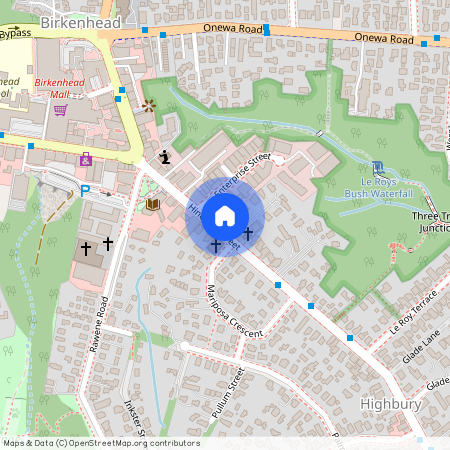 195 Hinemoa Street, Birkenhead, NZ 0627