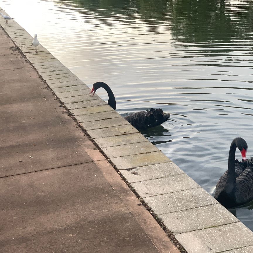 Point Cook - Photo 1