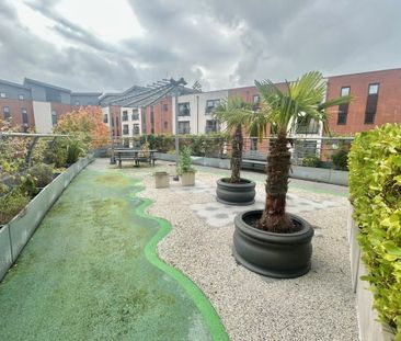 Egerton Street - Photo 3