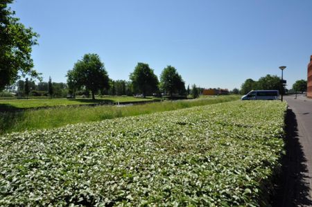 P. Hans Frankfurthersingel - Foto 2