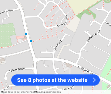 2 bedroom apartment for rent - Photo 1