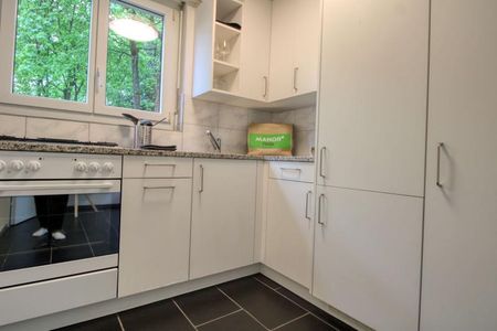 Milton #3 - Modern Coliving with a Terrace in Zürich Altstetten - Photo 4