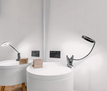 2 Bedrooms 1 Bathroom - Photo 3