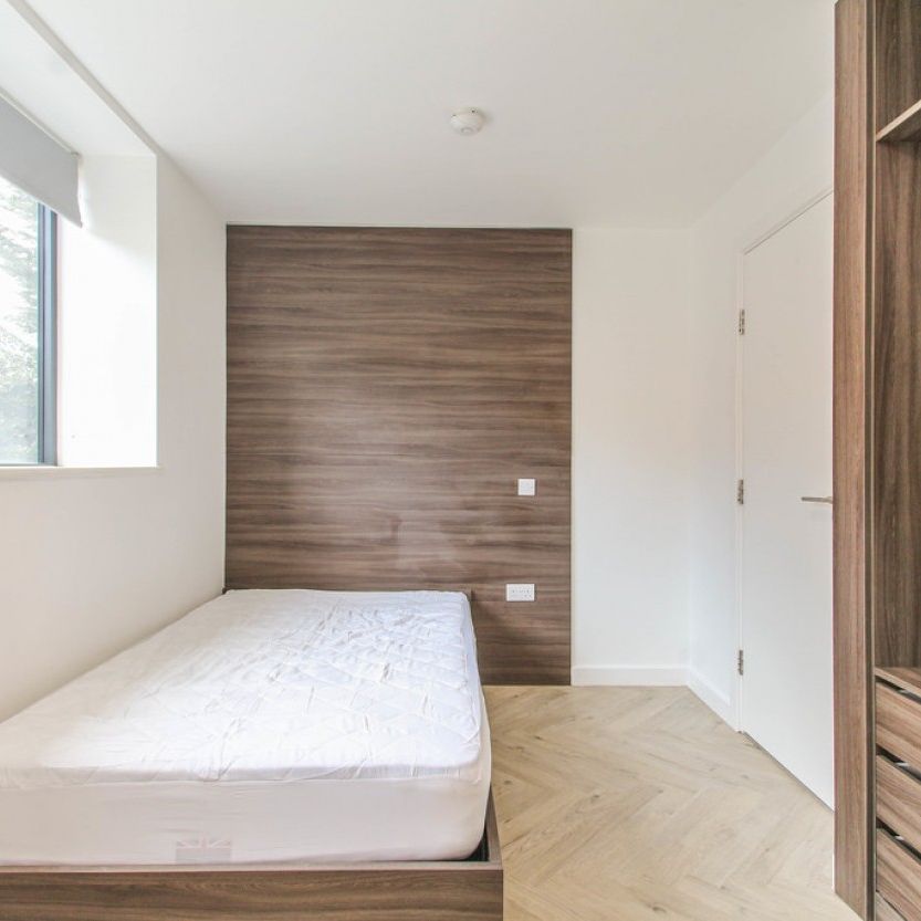 6 bed Apartment for Rent - Photo 1