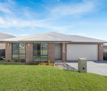 20 Pear Street, Gillieston Heights NSW 2321 - House For Rent | Domain - Photo 2