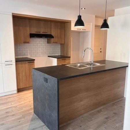 Logement 5 1/2 - Février ou Mars 2026 - St-Jérôme/Bellefeuille - Photo 3