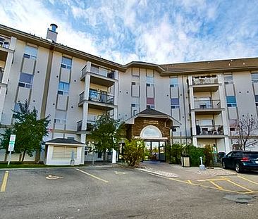 1 Bed Top Floor Condo For Rent In Clareview! - Photo 6