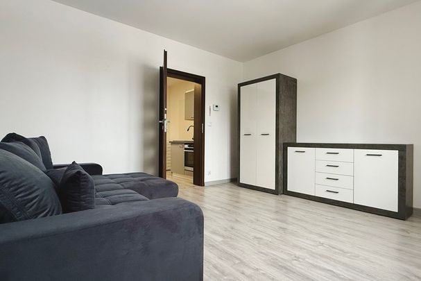 Duża kawalerka w Kamienicy - Zdjęcie 1