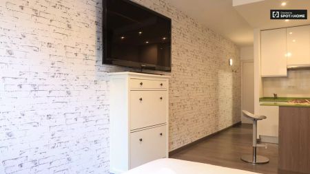 Studio for rent in Justicia, bills included - Photo 4
