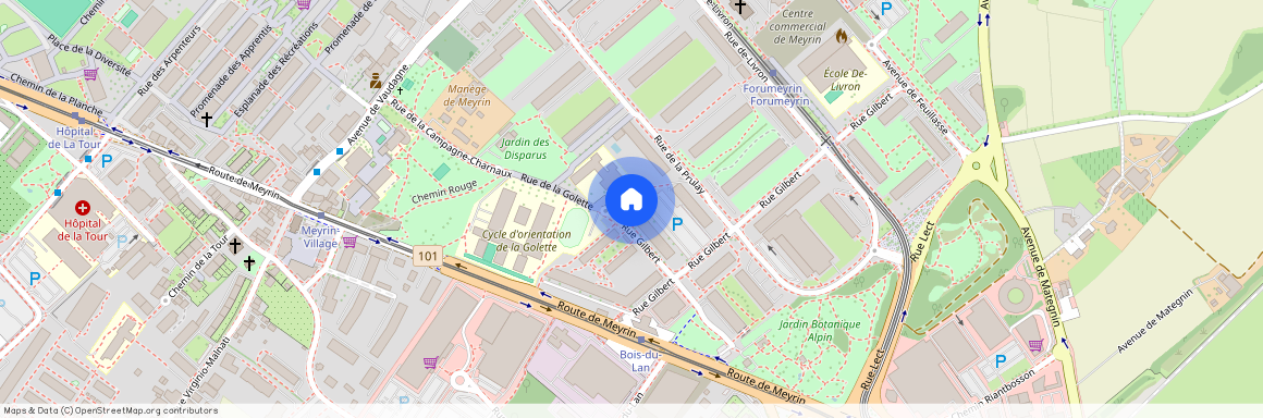 Rue de la Golette 18, 1217 - Meyrin, Suisse